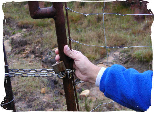 CADENA_CORREDOR.jpg (31822 bytes)
