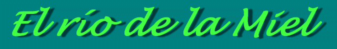 LOGO.gif (10951 bytes)