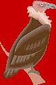 buitre.gif (4537 bytes)
