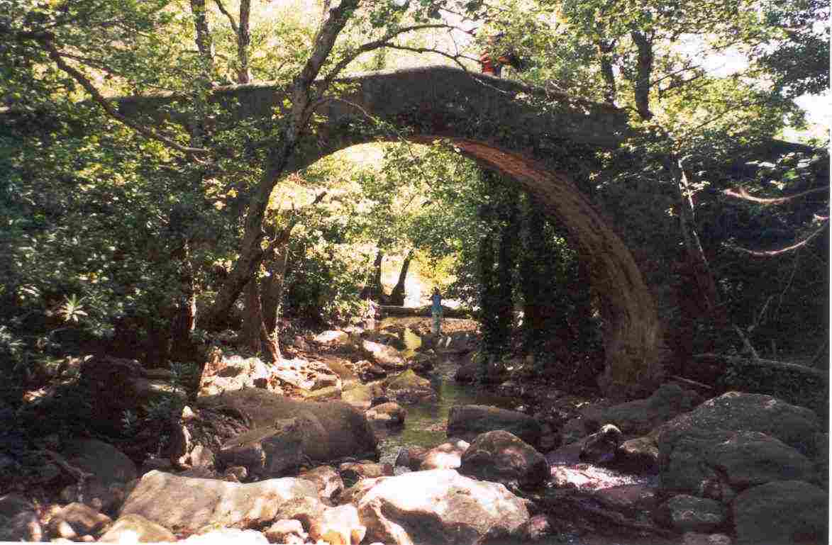 malag2.jpg (67829 bytes)