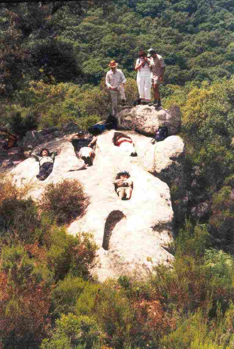 malag3.jpg (57004 bytes)