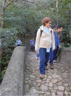 puente_paso.jpg (29349 bytes)