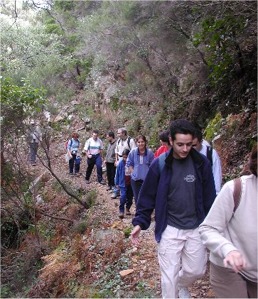 sendero.jpg (69875 bytes)