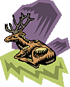 venado.gif (6996 bytes)