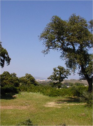 vistas.jpg (42690 bytes)